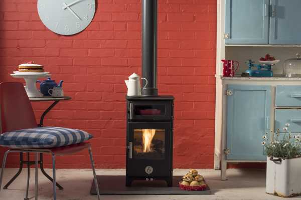 Hungry Penguin (c) Dyfi Fire