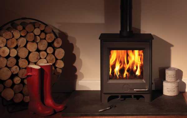 Woodwarm Phoenix Fireblaze  (c) Dyfi Fire